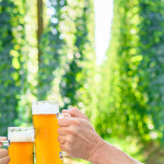Prost! Gastgarten Bierbuschenschank Eder Bräu Kefermarkt